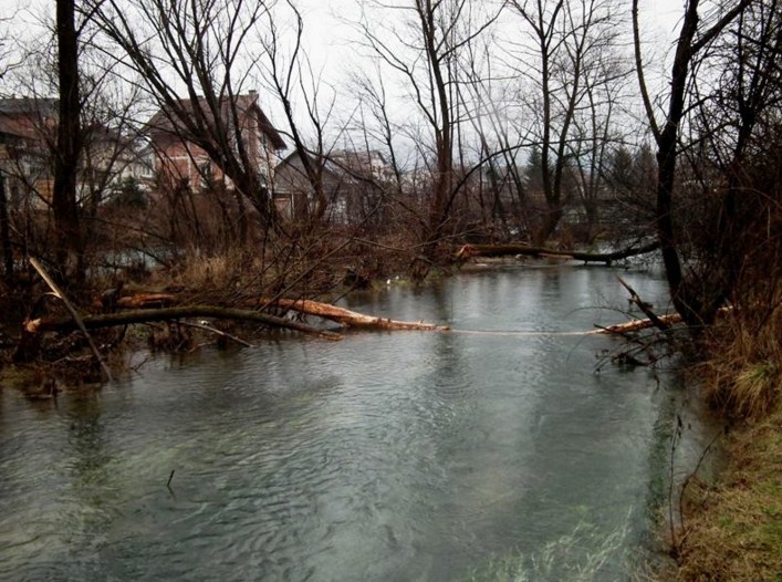 Banjaluka: Razgovor o zaštiti biodiverziteta